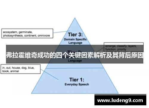 弗拉霍维奇成功的四个关键因素解析及其背后原因 弗拉霍维奇成功的四个关键因素解析及其背后原因